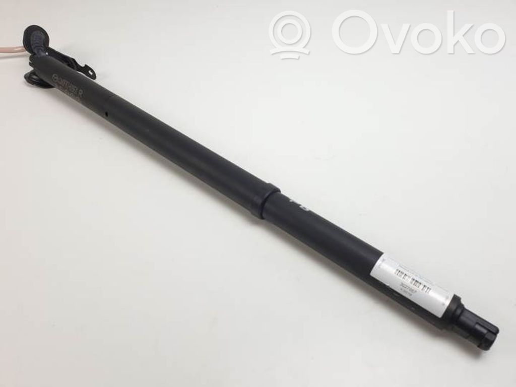 Tailgate/trunk strut/damper   DFR7626EX