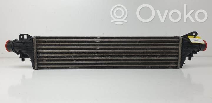 Radiatore intercooler   8E3951000