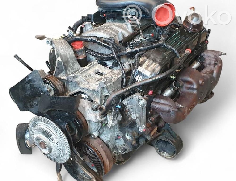 Motor   6M318