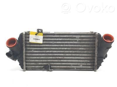 Ladeluftkühler   282702A770