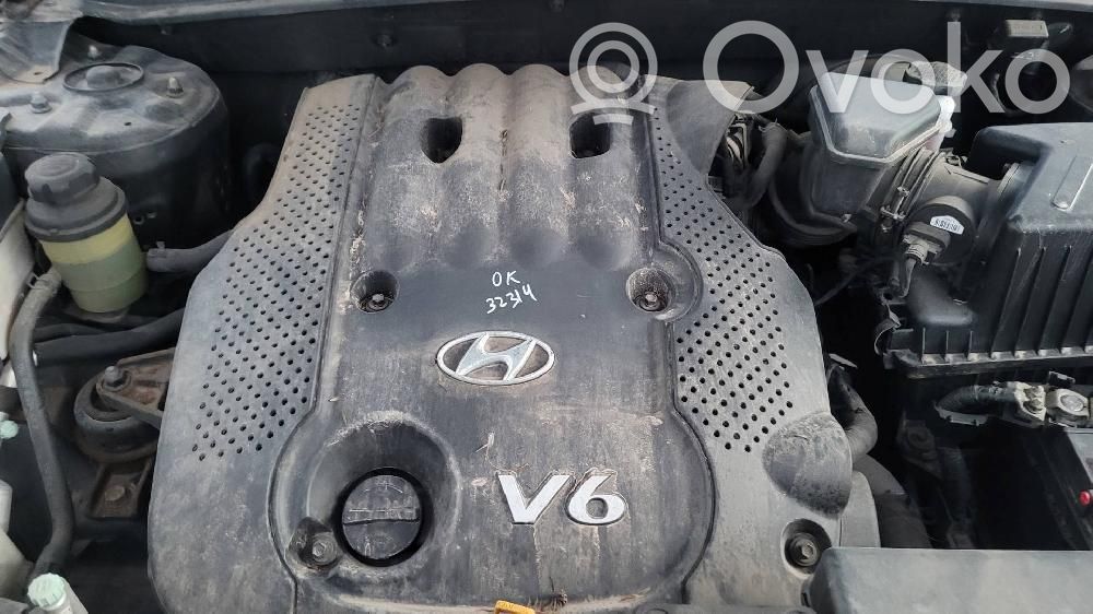 Hyundai Santa Fe Motor