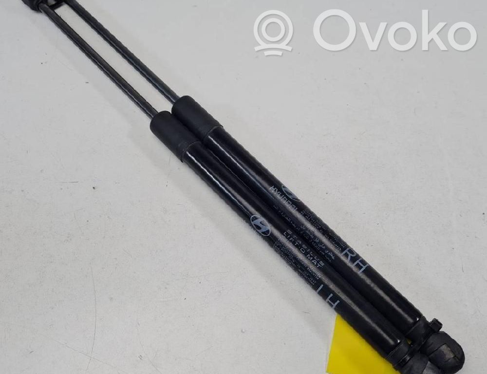 Hyundai i20 (PB PBT) Ammortizzatore portellone posteriore/bagagliaio