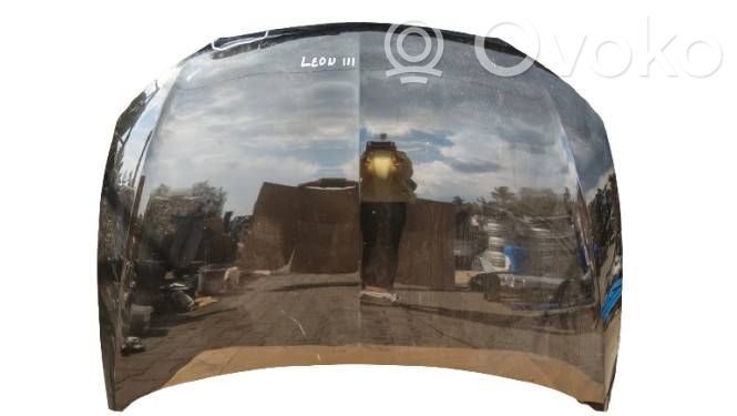 Engine bonnet/hood