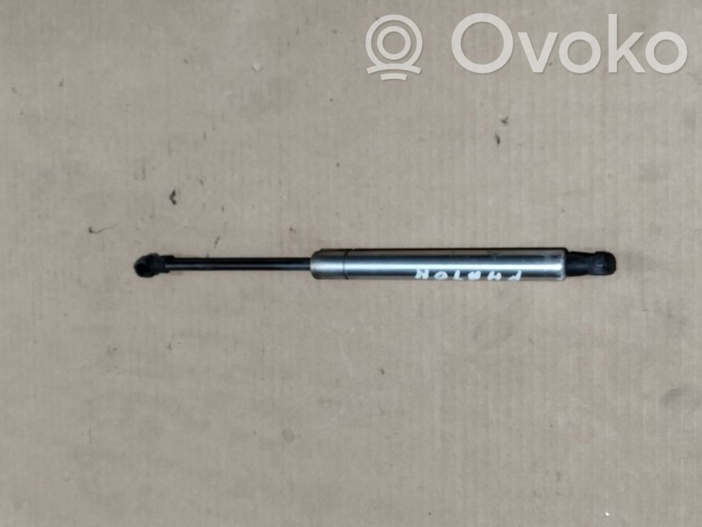 Volkswagen Phaeton Amortizor capotă motor 