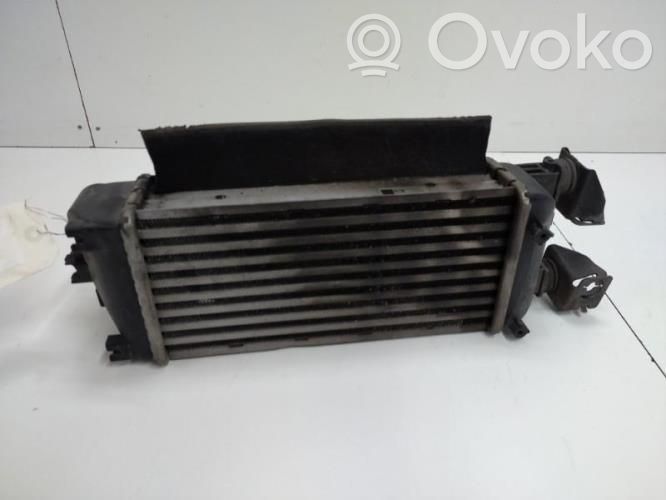 Intercooler radiator   1729041