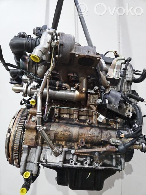 Motor   C2S48667