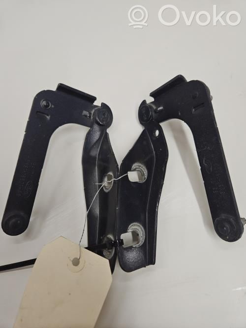 Ford C-MAX I Engine bonnet/hood hinges 
