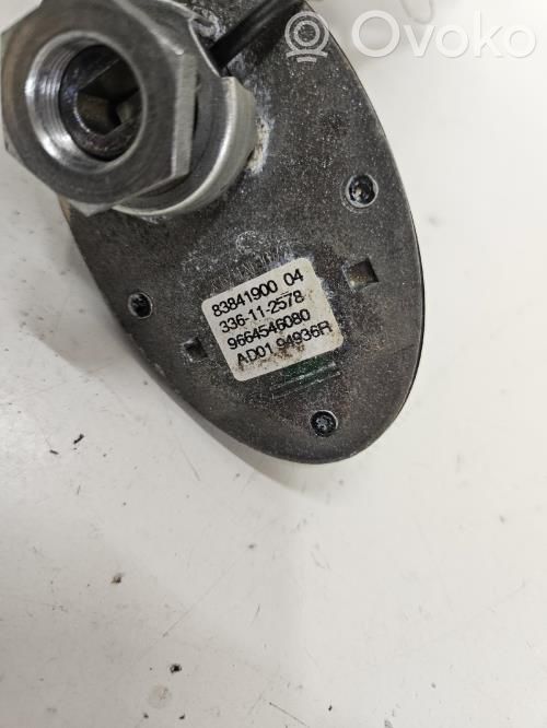 Citroen C5 Radion antenni 