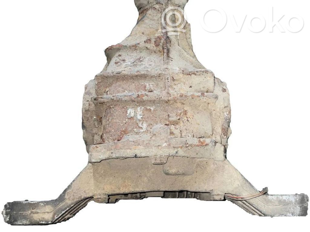 Rear differential   1213663,279