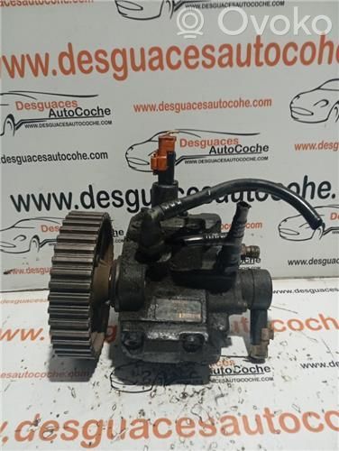 Hochdruckpumpe   445010046