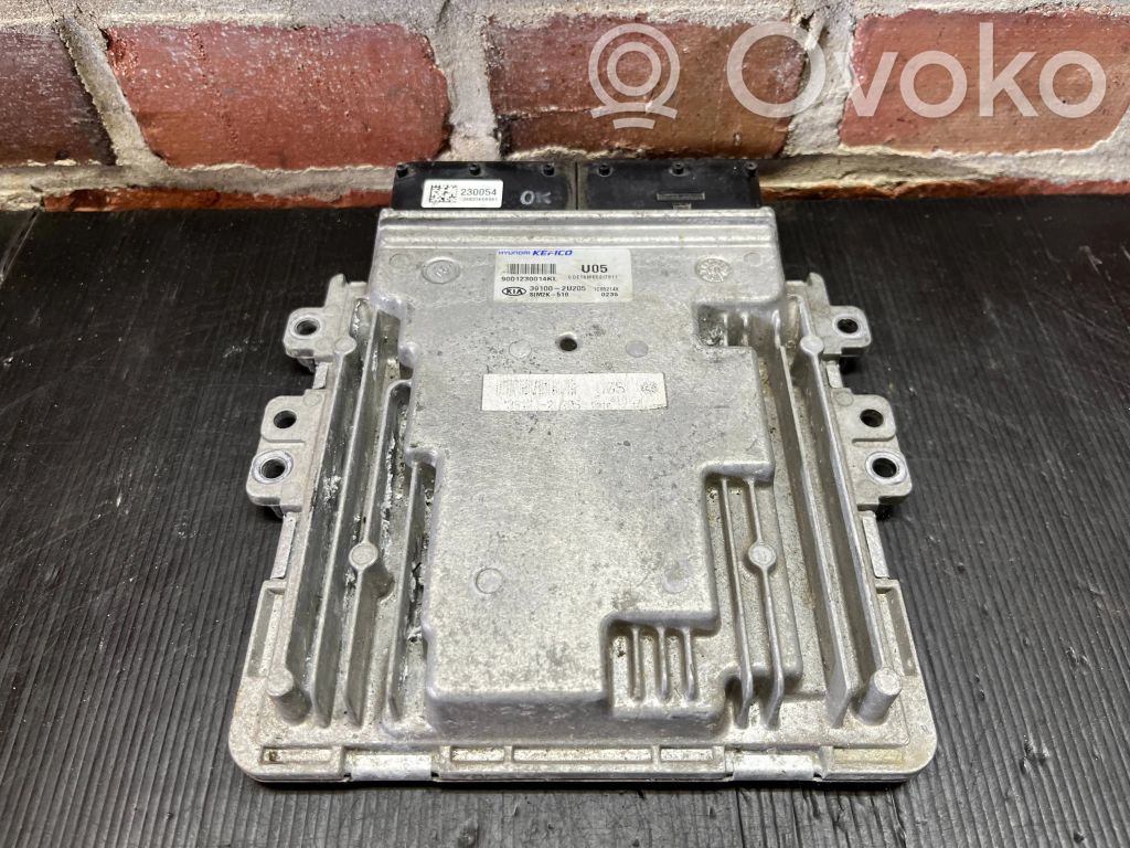 Unité de commande, module ECU de moteur   391002U205,9001230014KL,330054,SMM2K510