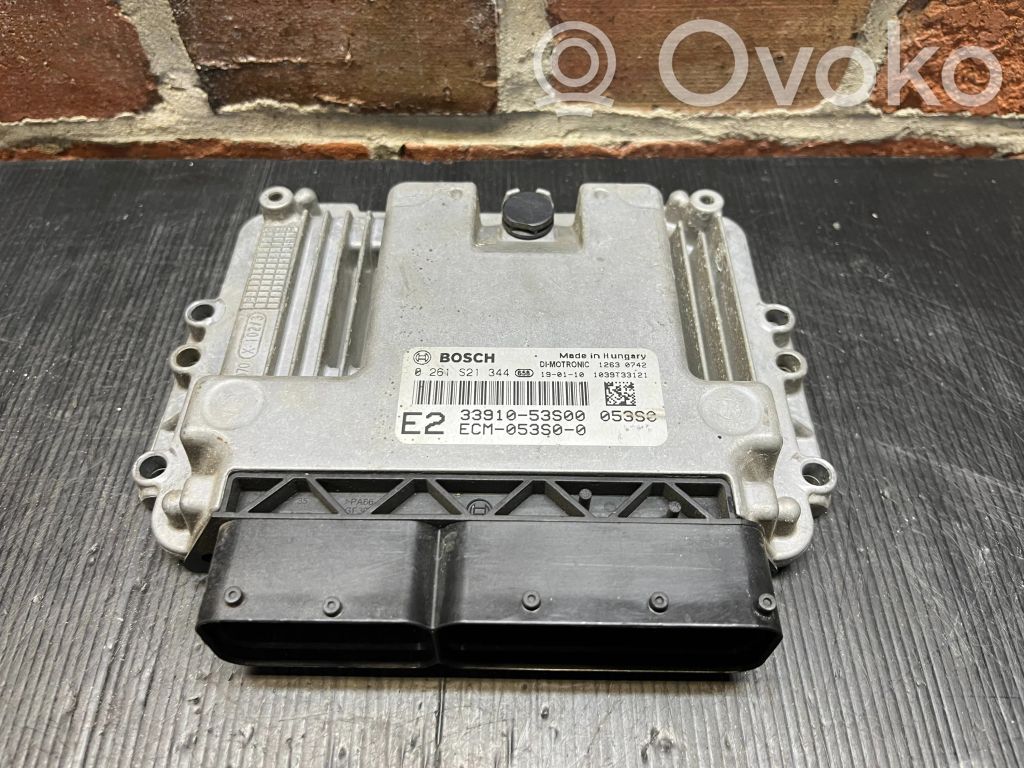 Engine control unit/module   3391053S00,0261S21344,ECM053S00
