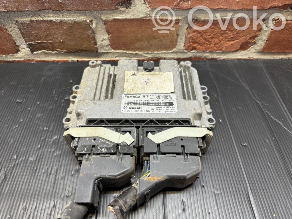 Ford Fiesta Oro pagalvių valdymo blokas 