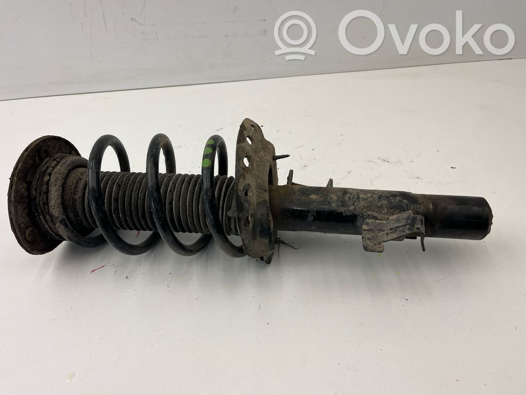 Amortyzator osi przedniej ze sprężyną   31406001,234131959,D77RA