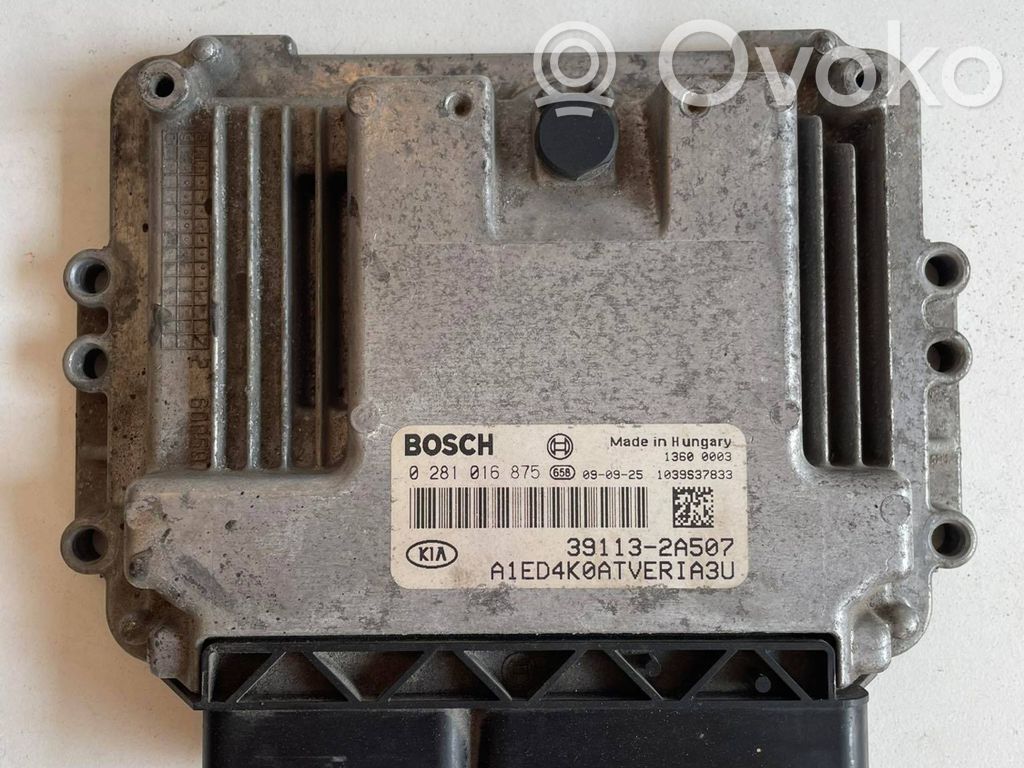 Engine control unit/module   0281016875,391132A507