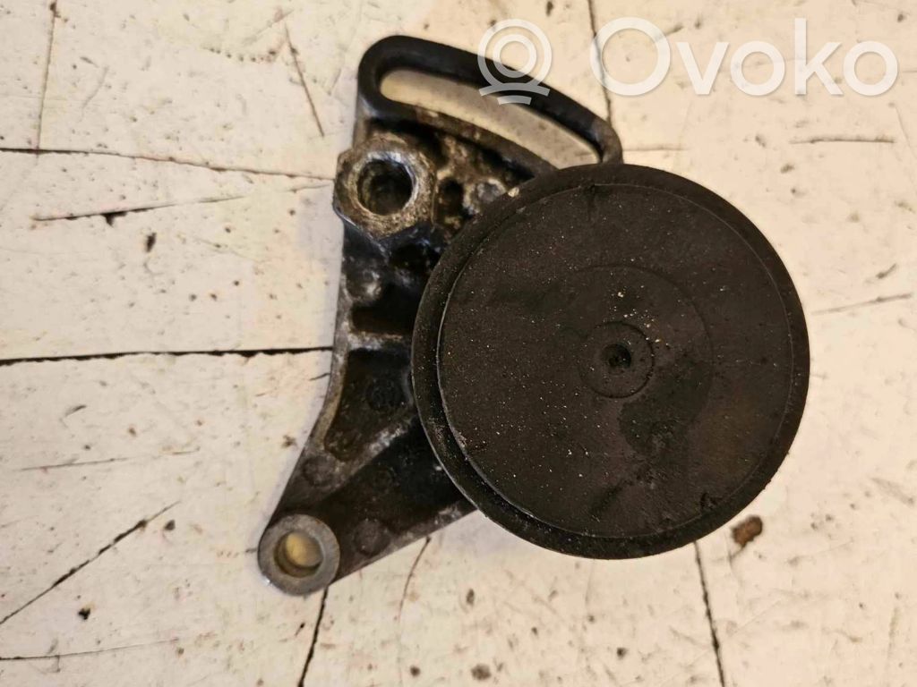 Audi A4 S4 B6 8E 8H Tensor de correa del alternador 