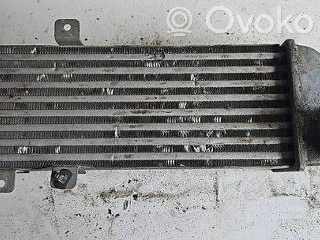 Interkūlerio radiatorius   282712A610,6714315,131010003