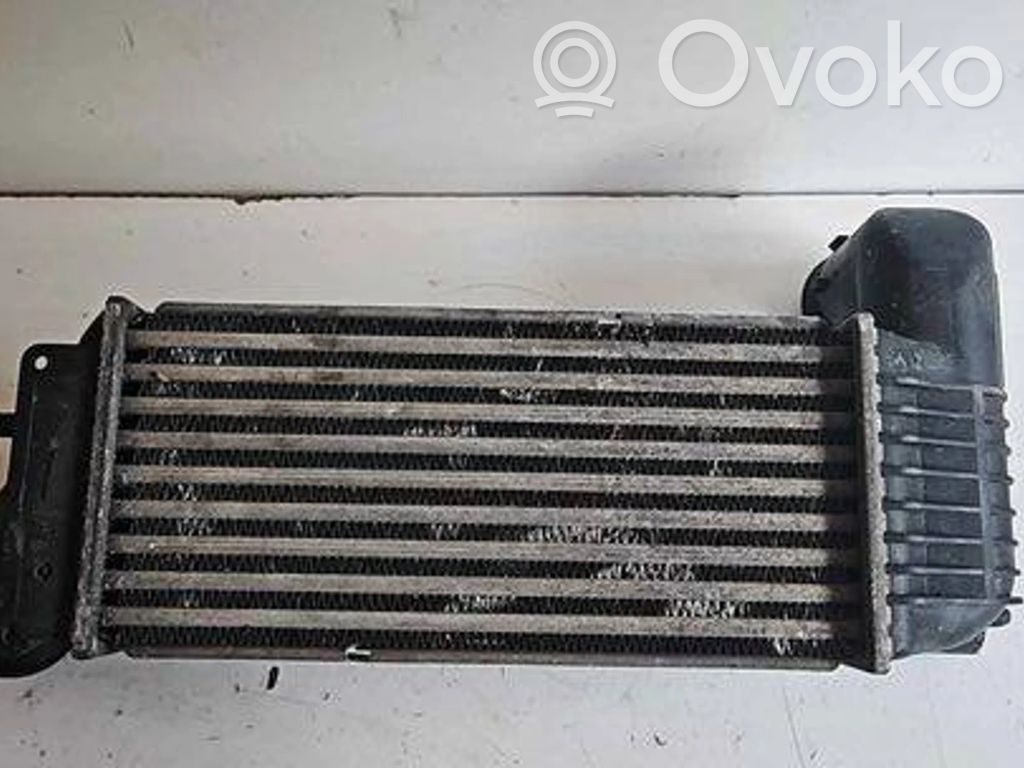 Peugeot 406 Intercooler radiator 