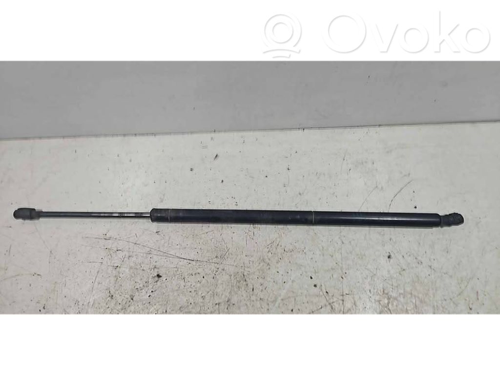 Chrysler 300 - 300C Amortyzator klapy tylnej bagażnika 