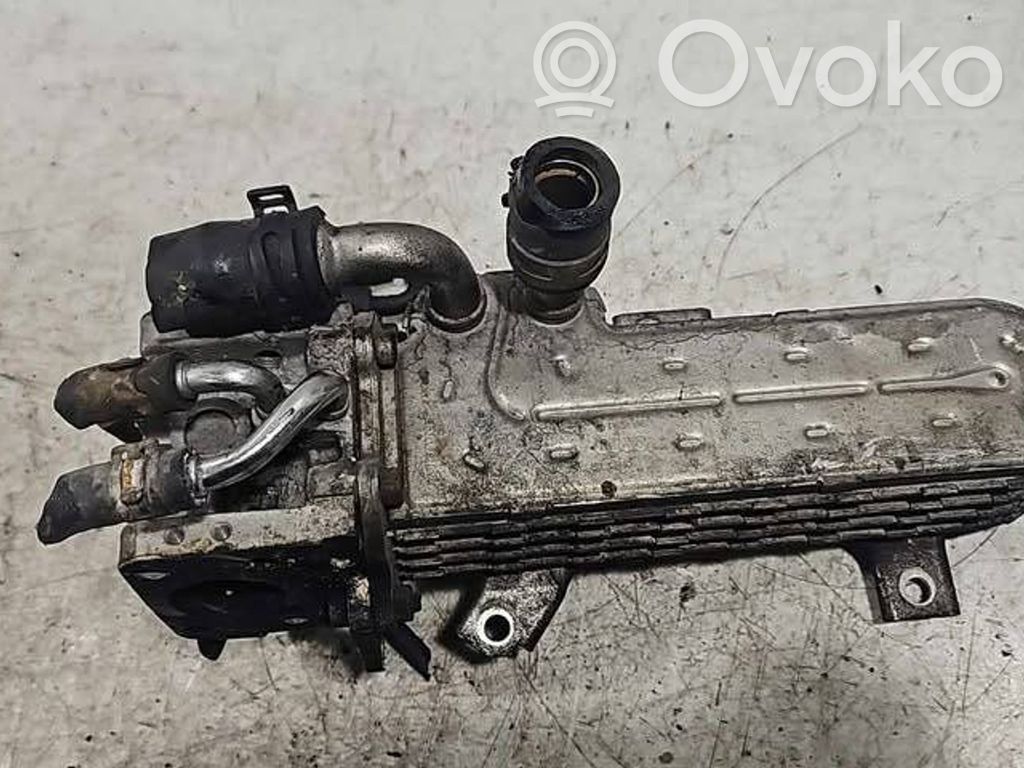 Volkswagen Golf V Chłodnica spalin EGR 