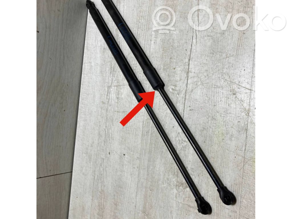 Renault Clio V Tailgate strut 