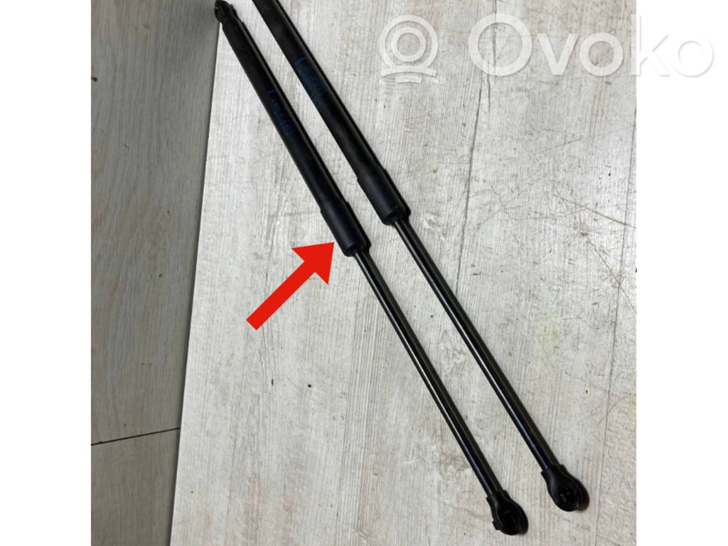 Renault Clio V Tailgate strut 
