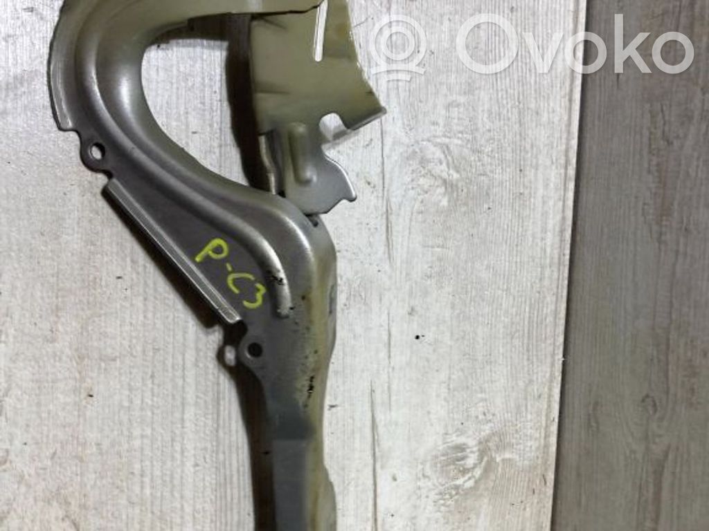 Citroen C3 Dzinēja pārsega eņģe (-es) 