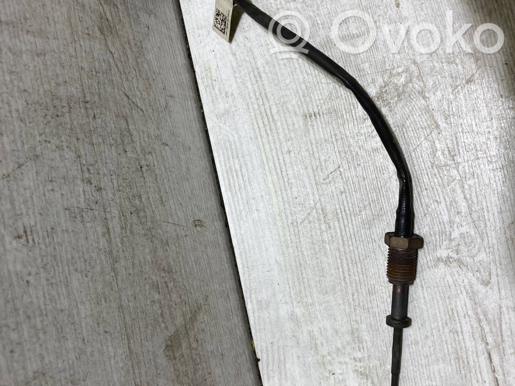 Ford Fiesta Išmetamųjų dujų temperatūros daviklis 