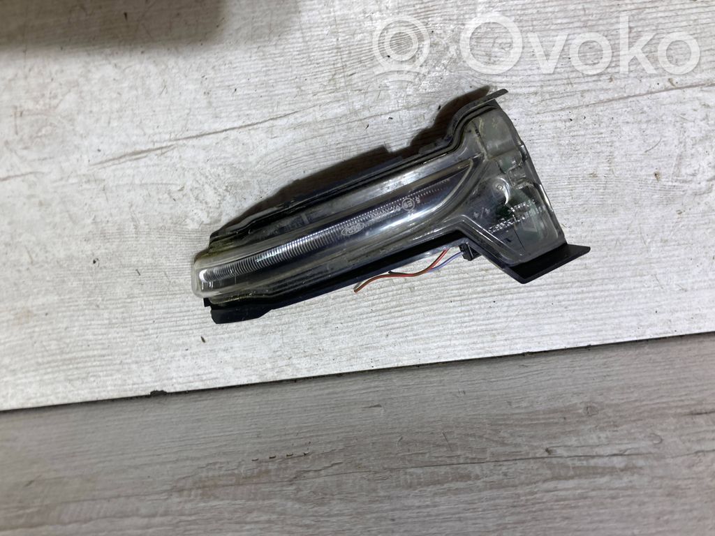 Ford Focus Spiegelblinker 
