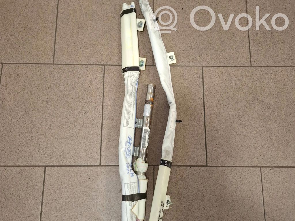 Airbag de toit   85010A2000