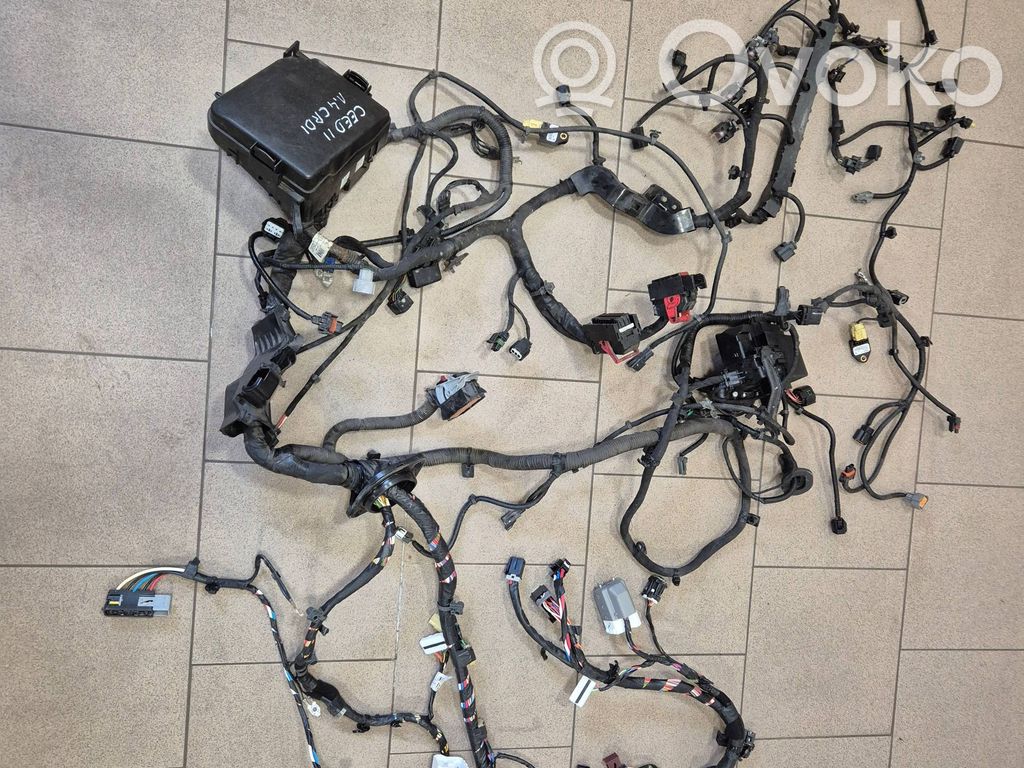 KIA Ceed Cableado de instalación del motor 