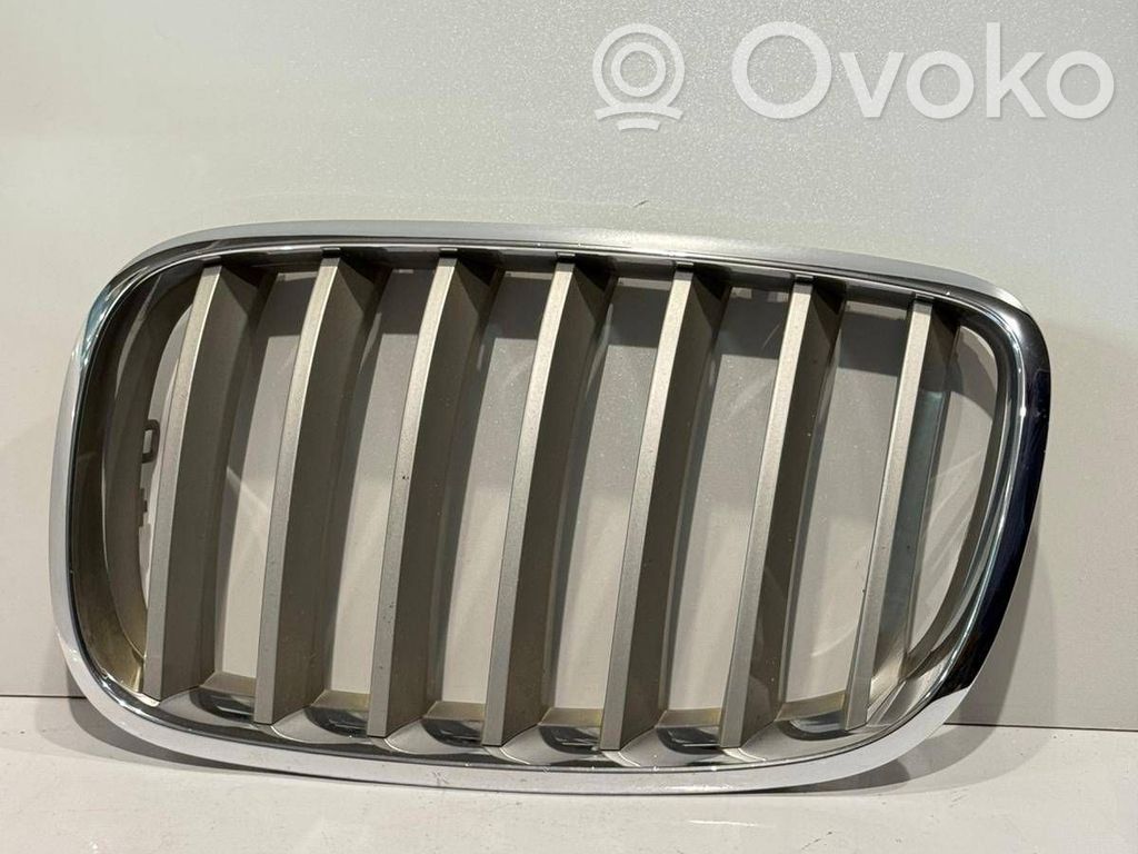 BMW X5 E70 Front bumper upper radiator grill 