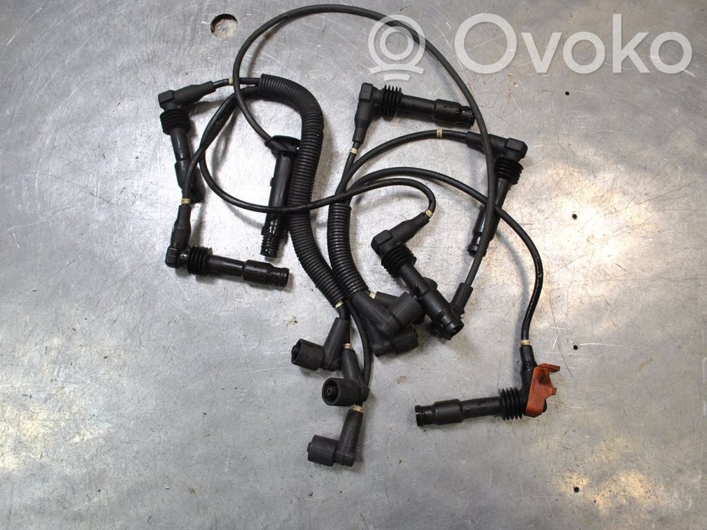 Ignition plug leads