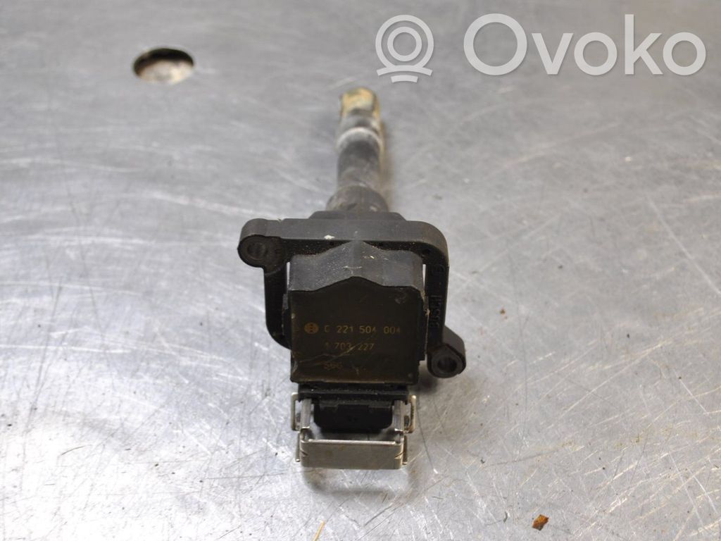 High voltage ignition coil   0221504004