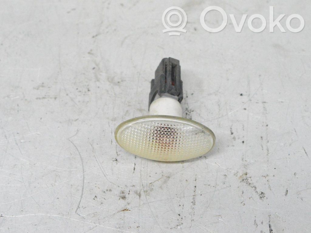 Front fender indicator light