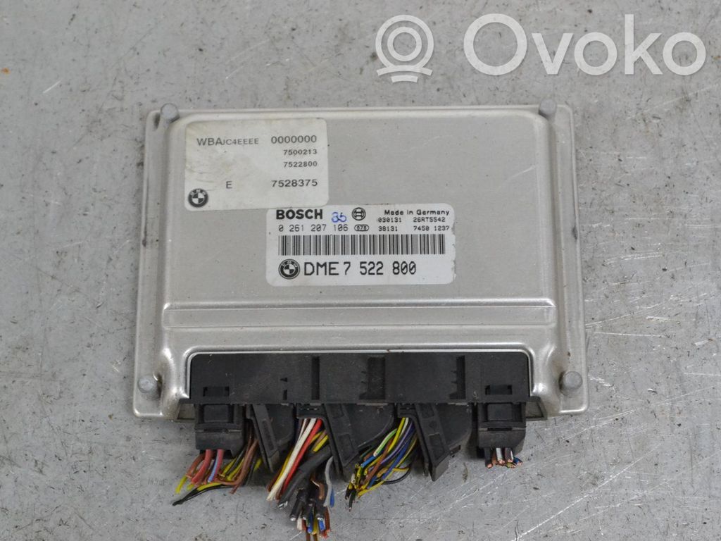 Injection control unit/module   7522800,0261207106
