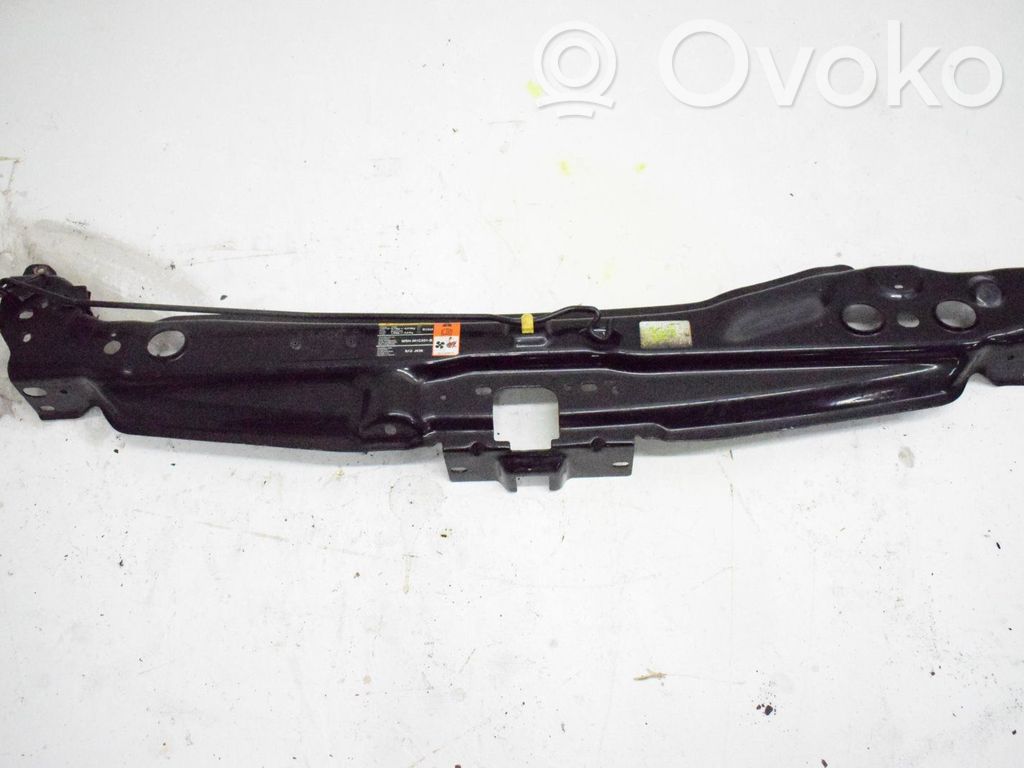 Top upper radiator support slam panel   6C115D066AC