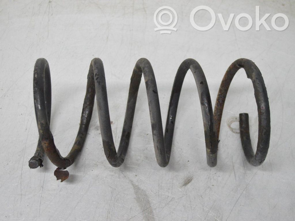 Rear coil spring