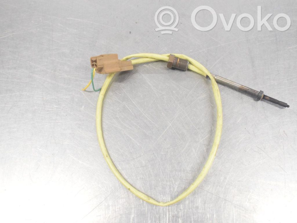 Abgastemperatursensor   226407817R