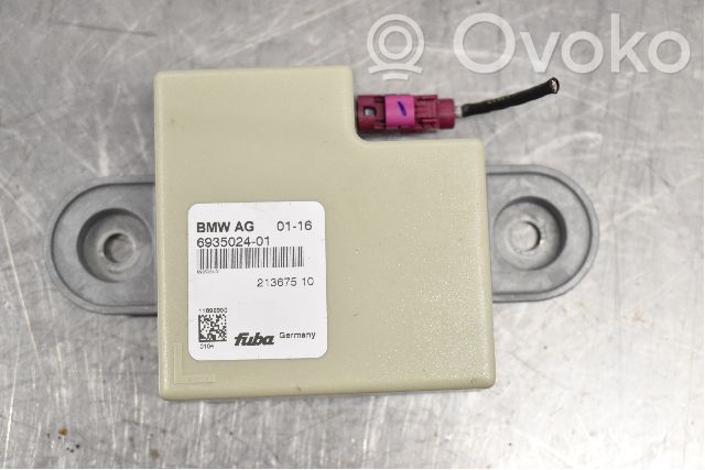 Antenna autoradio   6935024