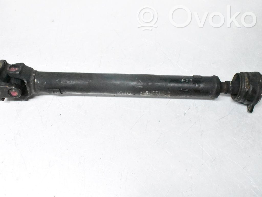 Arbore planetară față   MR580646
