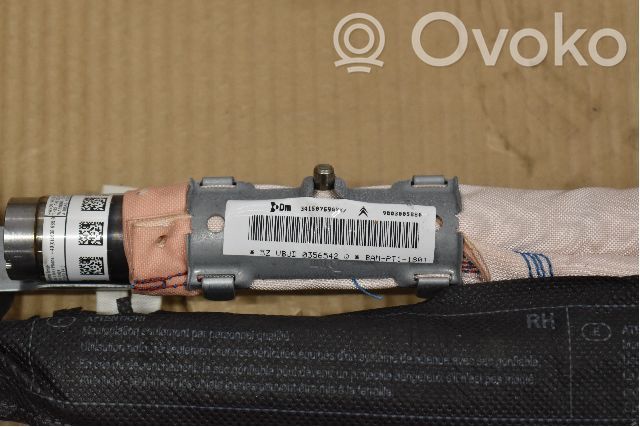 Airbag del techo   9803005880