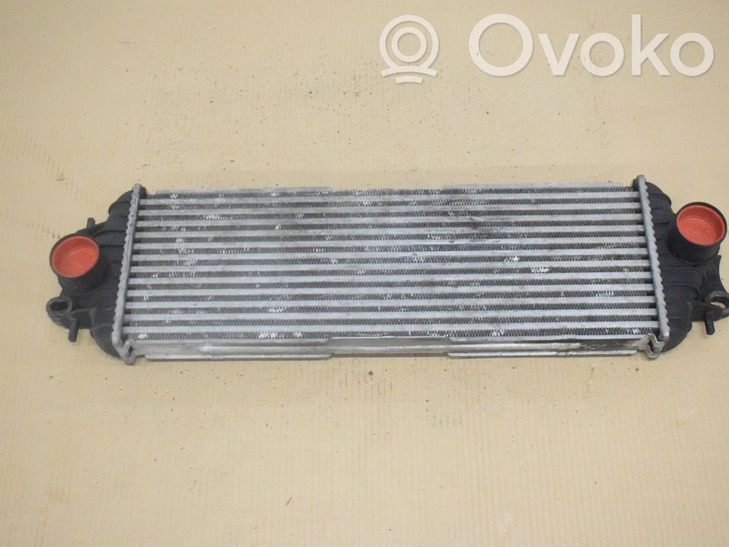 Intercooler radiator   7700312903D