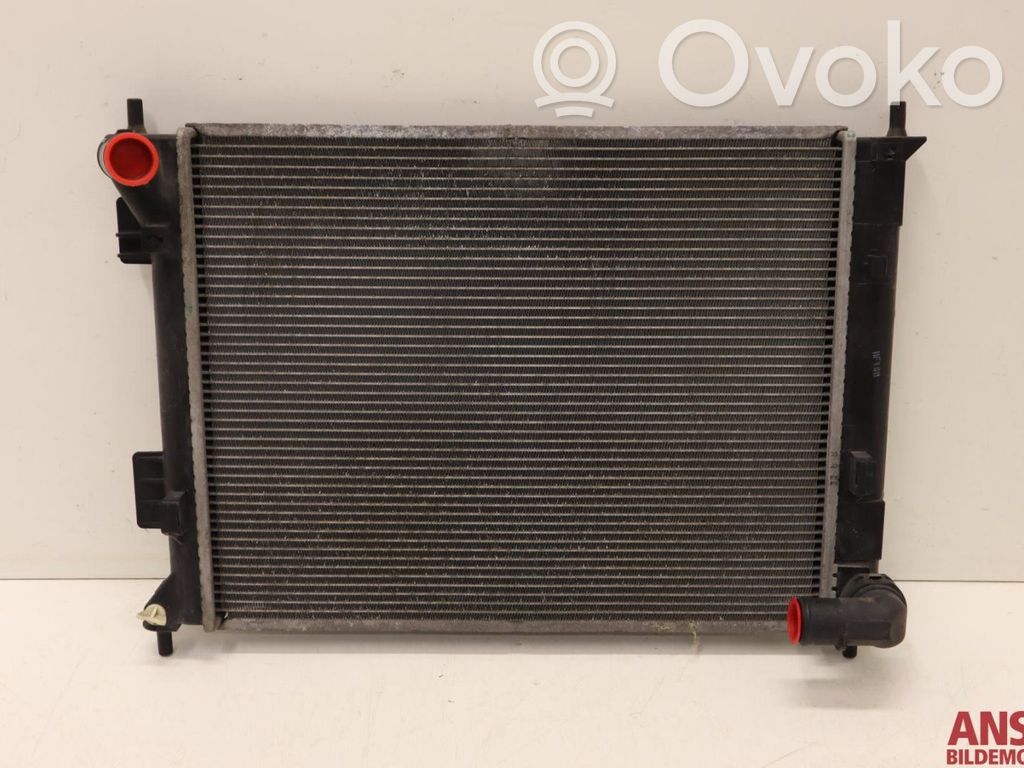 Radiatore di raffreddamento   253101P200