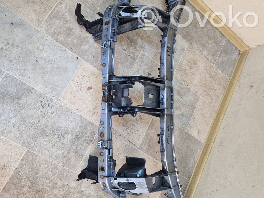 Ford Mondeo MK IV Radiatoru panelis 