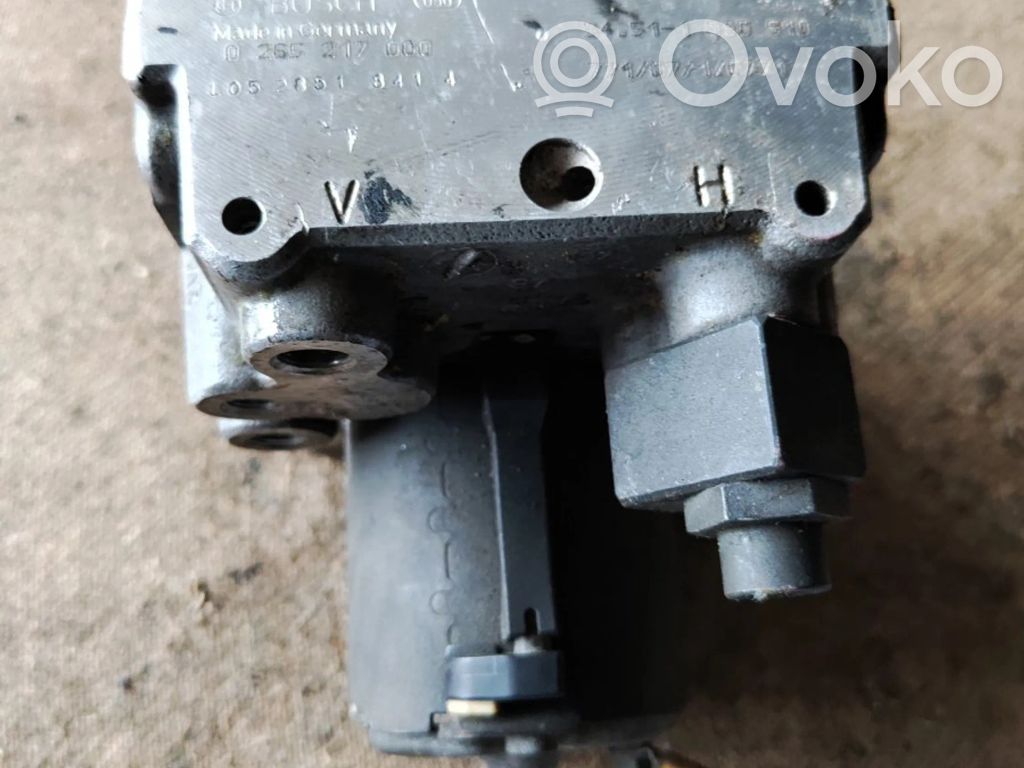 ABS Pump   1090910,0265217000,34511090910