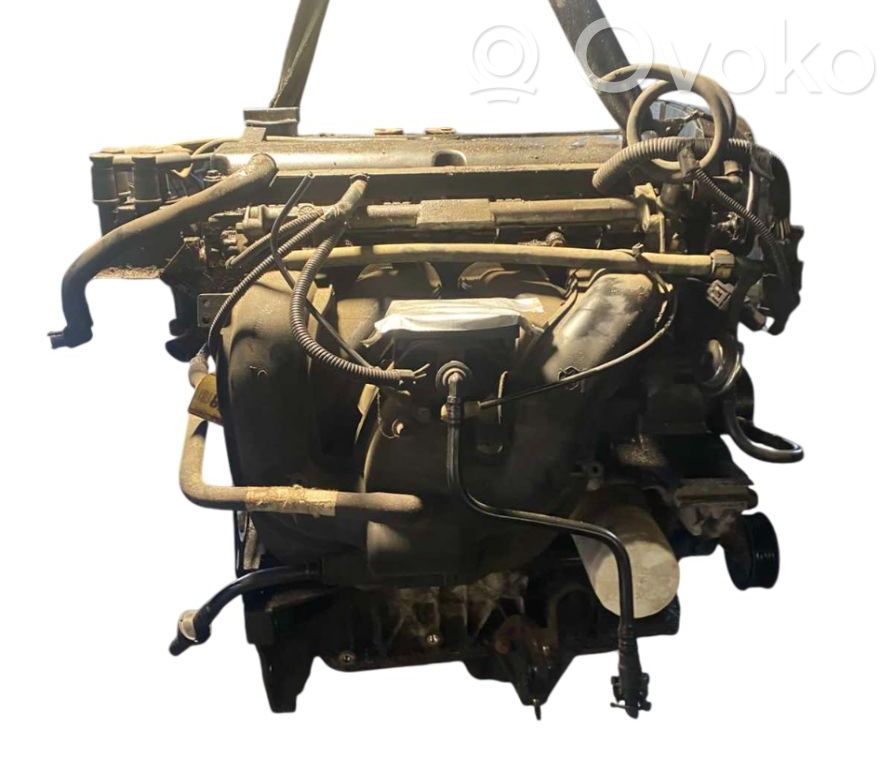 Ford Focus Engine 