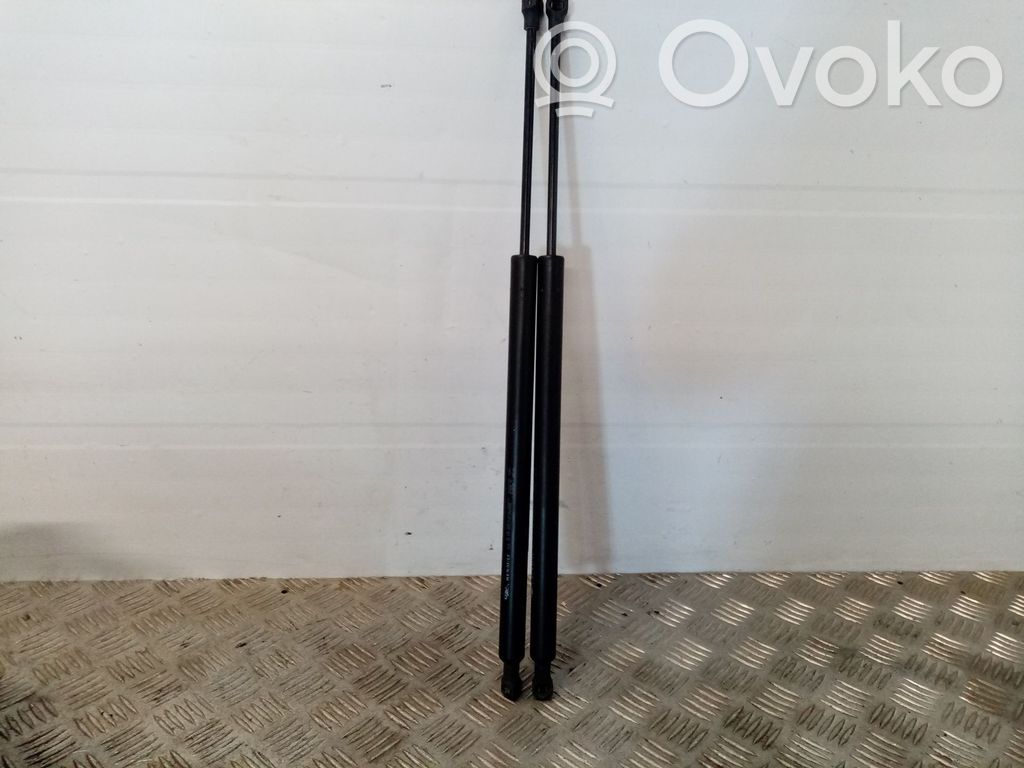 Renault Modus Ammortizzatore portellone posteriore/bagagliaio 