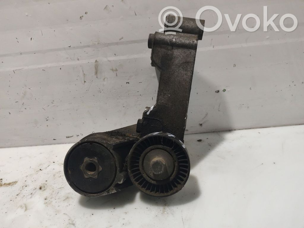 Ford Transit Diržo įtempėjas 