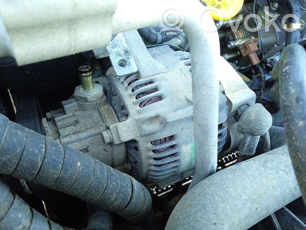 Land Rover Freelander Generatorius 